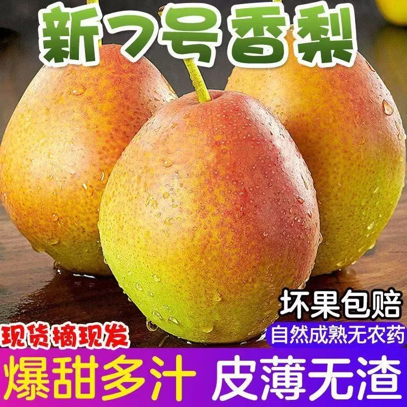 2025山西新鲜香梨5斤装七月红梨也叫半边红梨现摘现发应季脆梨