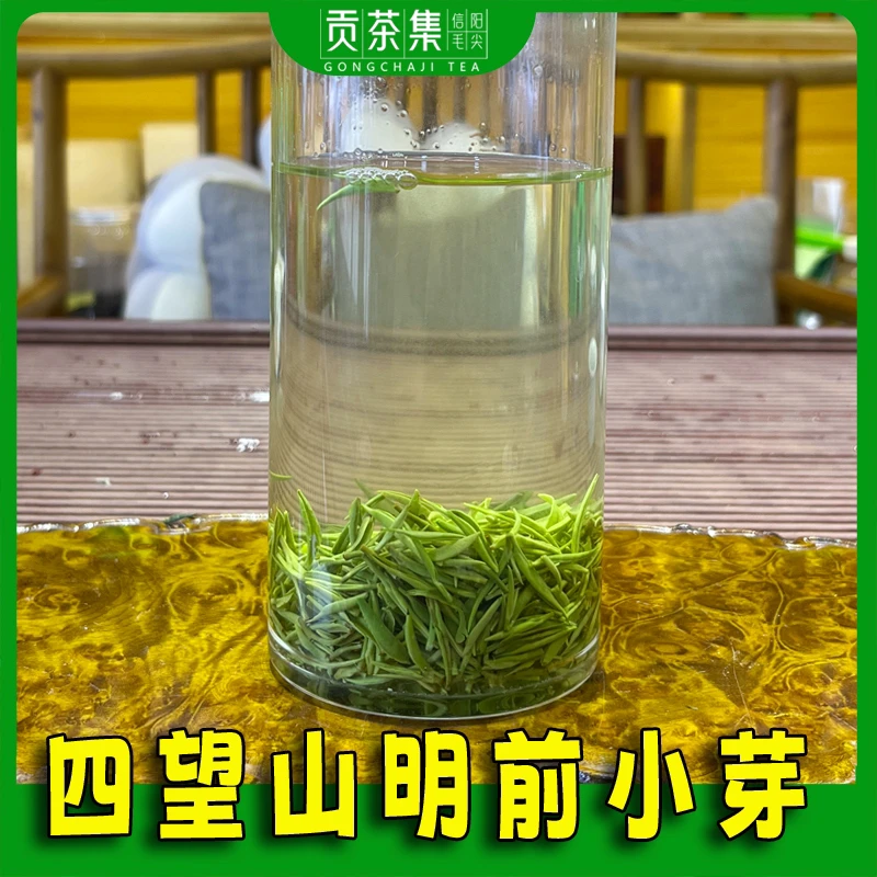 贡茶集【四望山】2025年新茶明前春茶核心产区大山茶新茶50克/500克