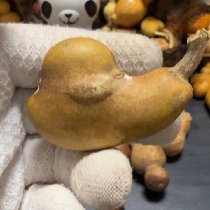 ****0666666666666667777778