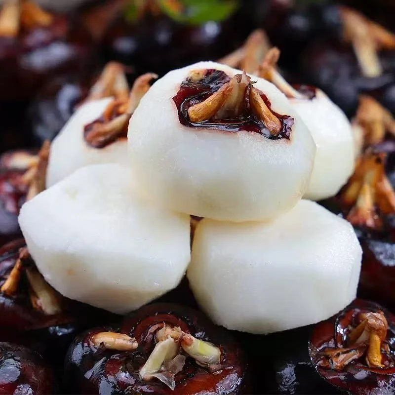 (阳朔水果马蹄) 带泥发货 新鲜现挖 脆甜多汁 清甜化渣