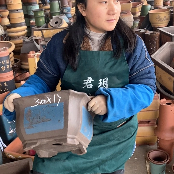 紫砂花盆盆栽花卉苗木种植