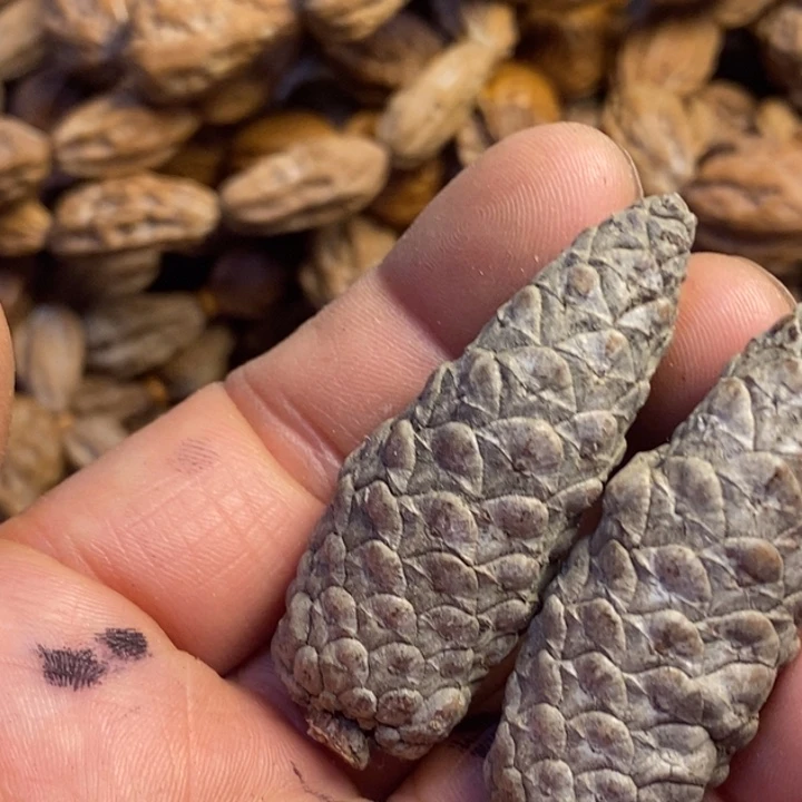 文玩核桃吊坠东北特产68