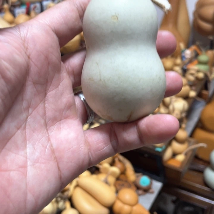 小摸摸小手猪崽！吧里