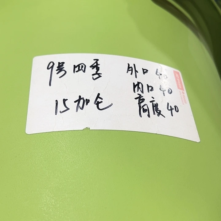 特价9号四季口46高40果绿无托2只