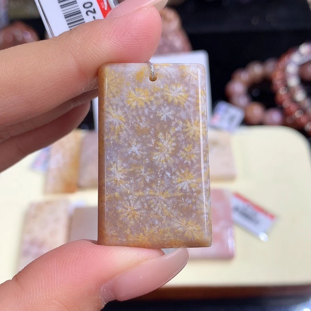 吊坠(赠链)未镶嵌硅化珊瑚（珊瑚玉）6号上新吊坠