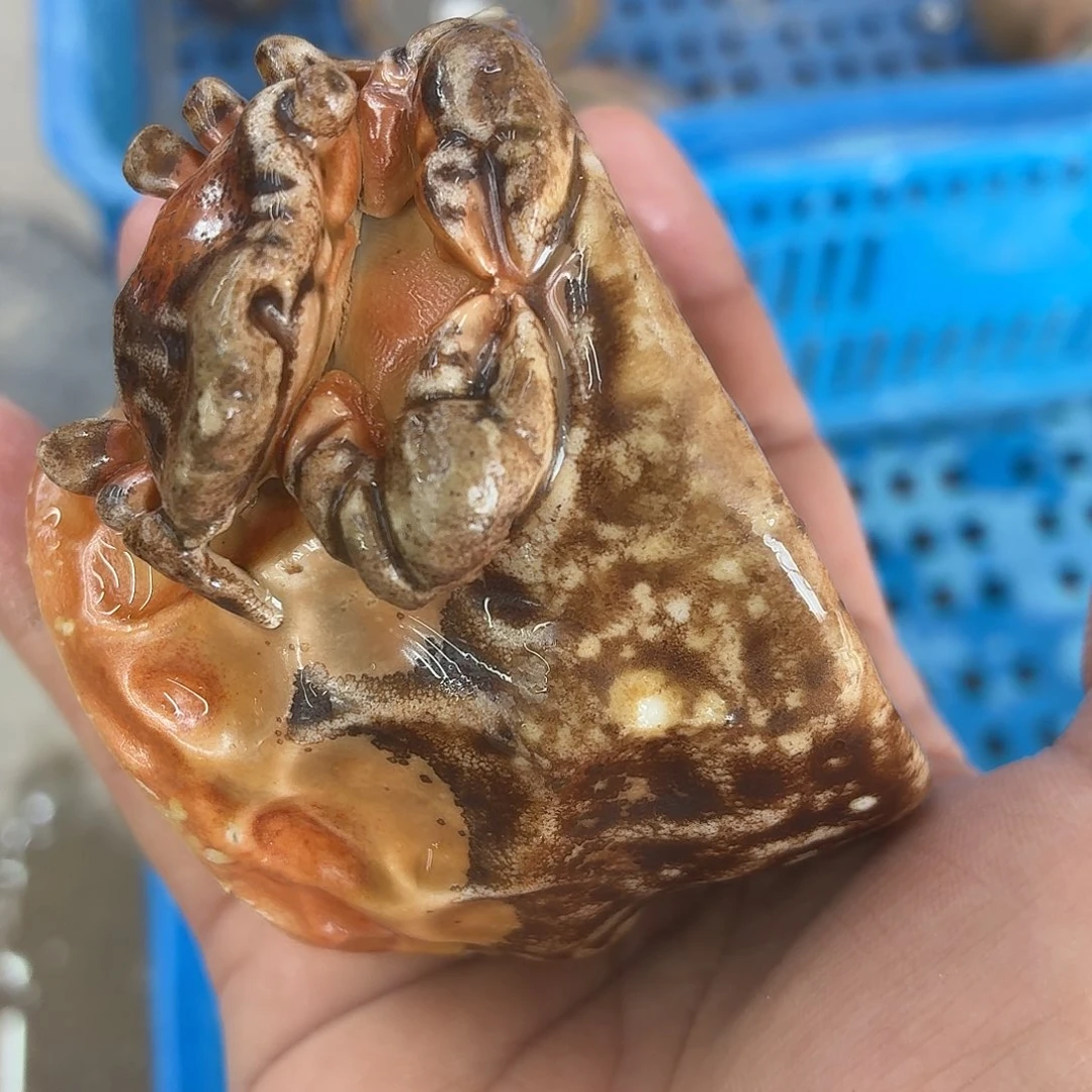 陶园柴烧，精品高货284瑕