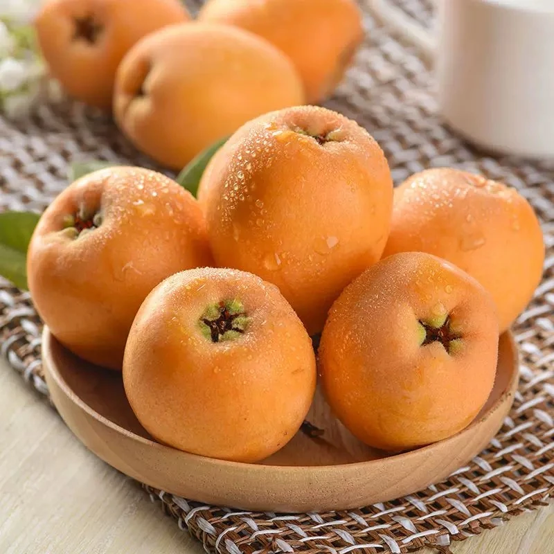 福建莆田萩芦早钟枇杷新鲜水果鲜甜多汁3斤/5斤/10斤装整箱无药果