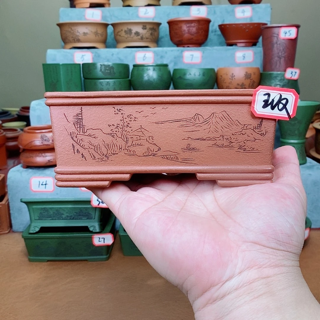 紫砂花盆我在看书