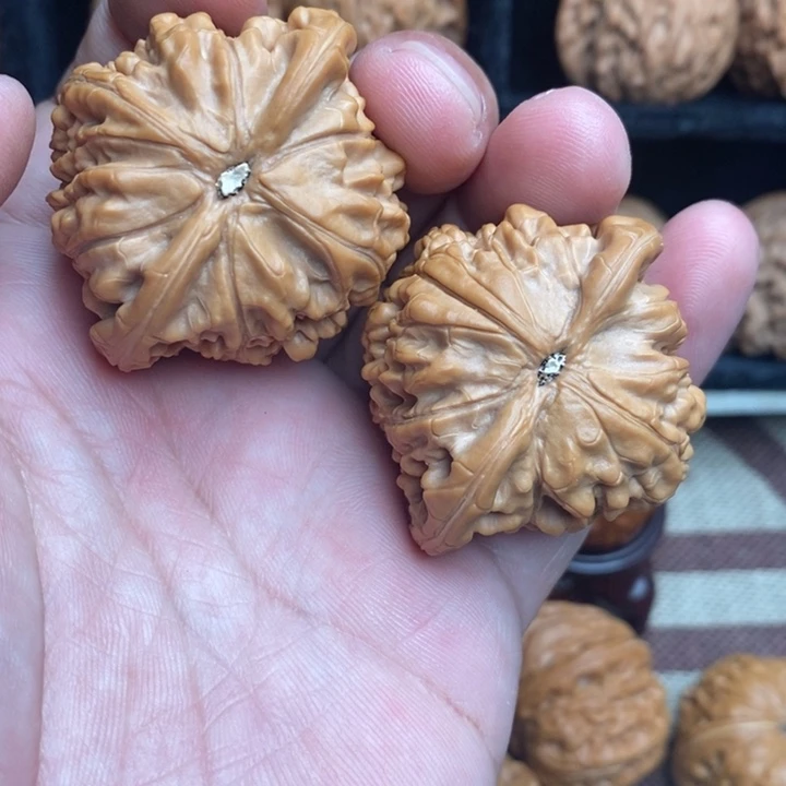 全品小众望月45尺寸