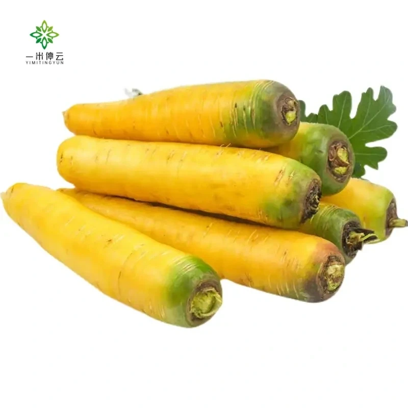 新疆黄胡萝卜约0.5-0.6斤/份