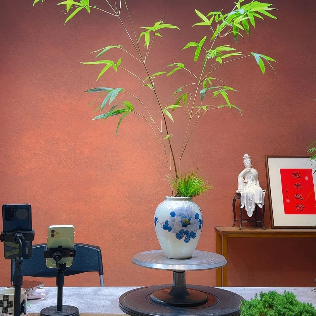 薇***妍无花朵老桩精品竹盆景艺术