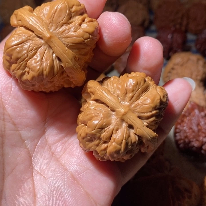 董***嘉文玩核桃把件核桃