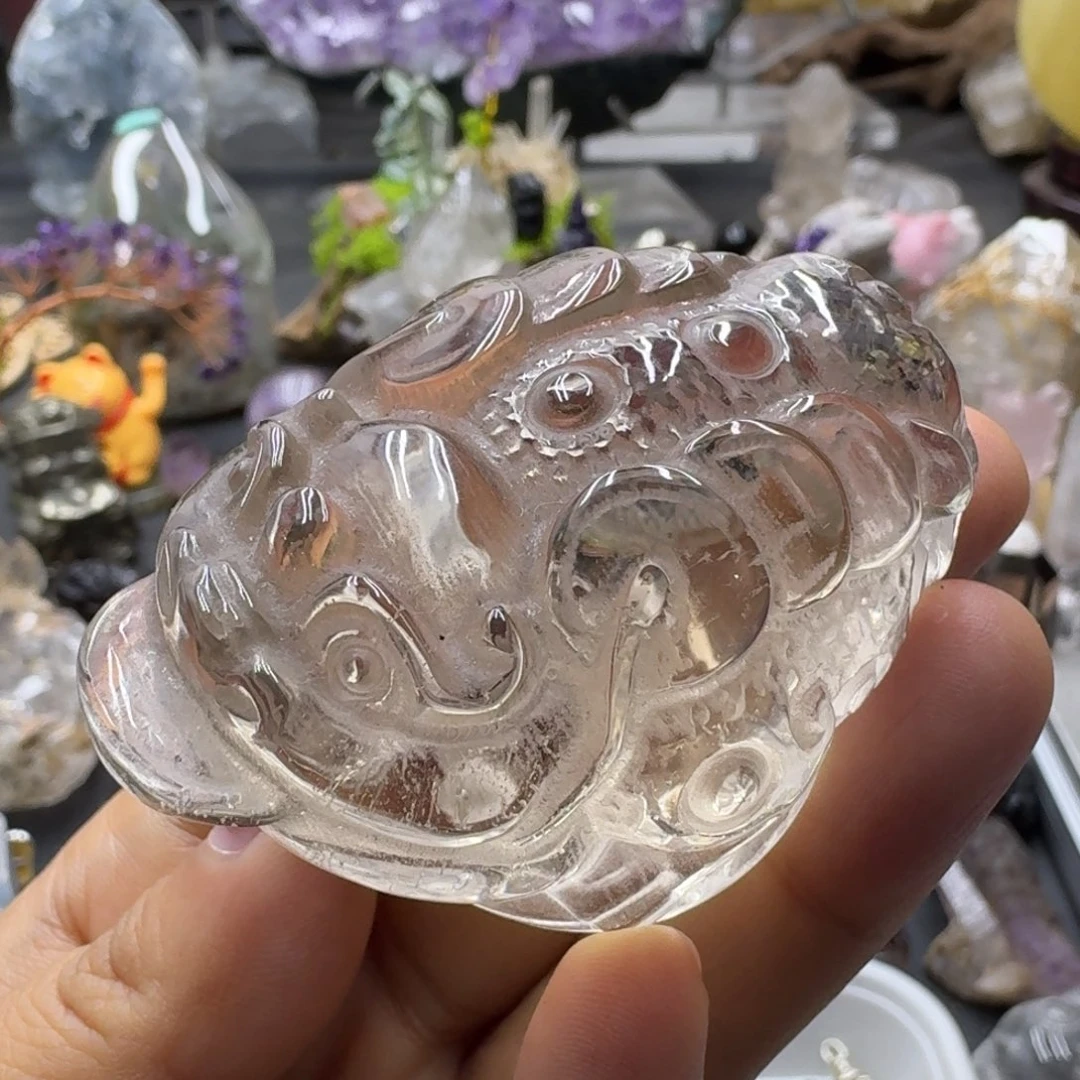 金蟾带彩虹的故事