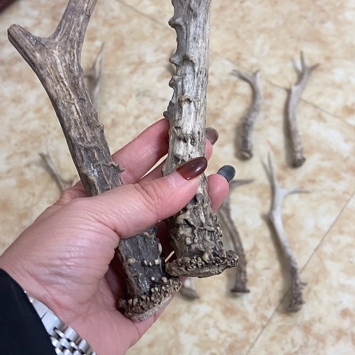 用***4中国大陆鹿角盘玩手把件