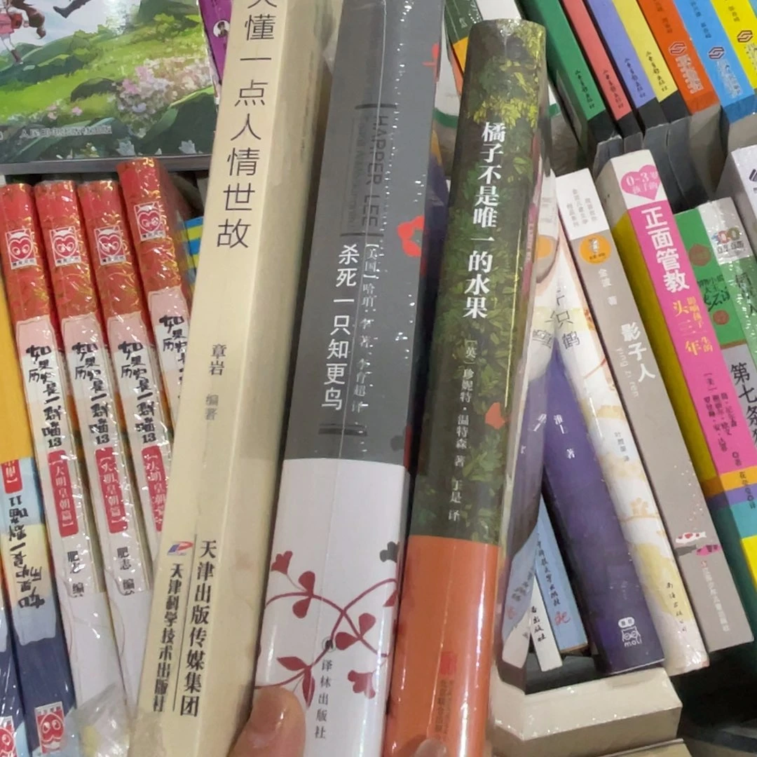 橘子不是唯一的水果 杀死一只知更鸟 人情世故