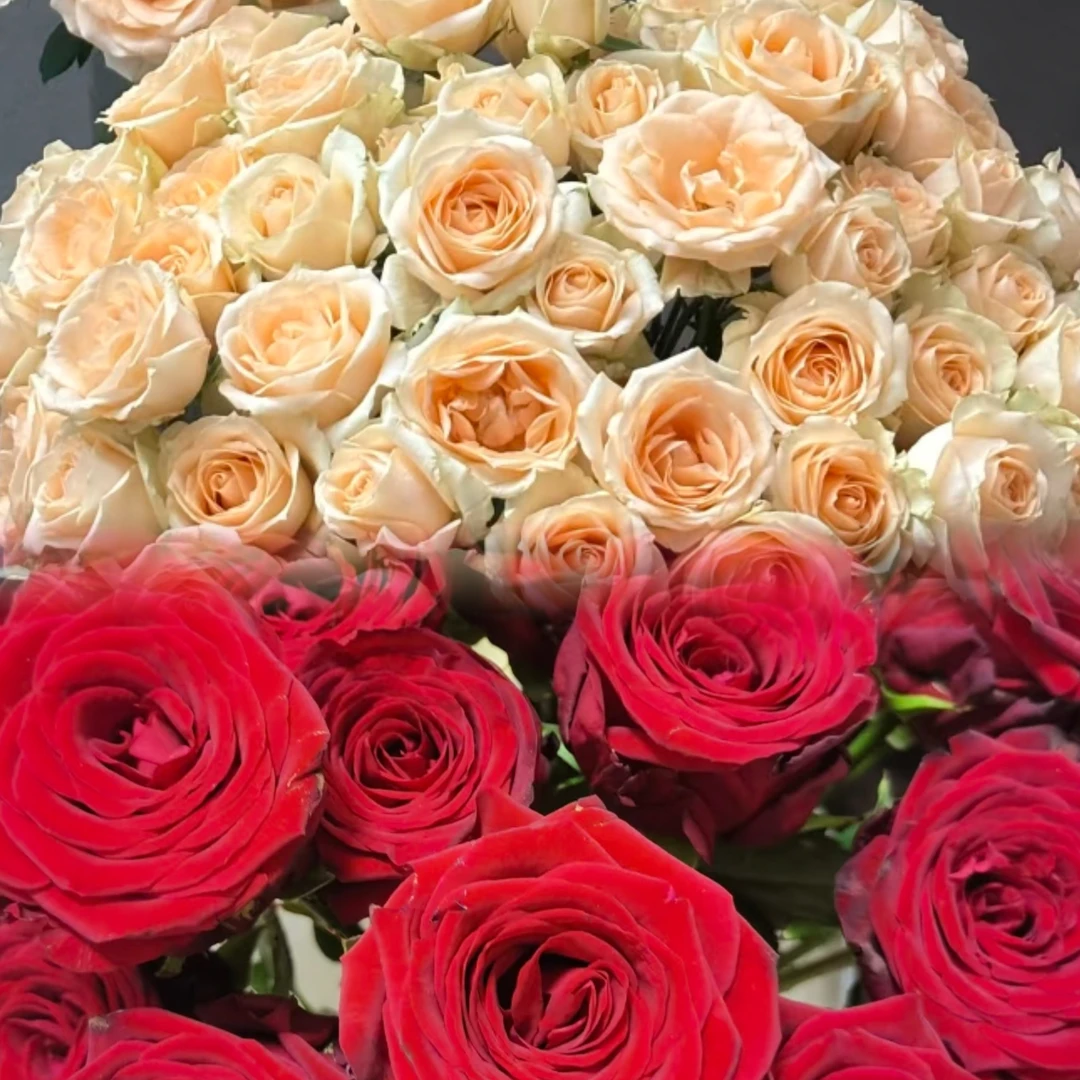 【工厂直发】娜欧米20支➕蜜桃鲜花玫瑰10支
