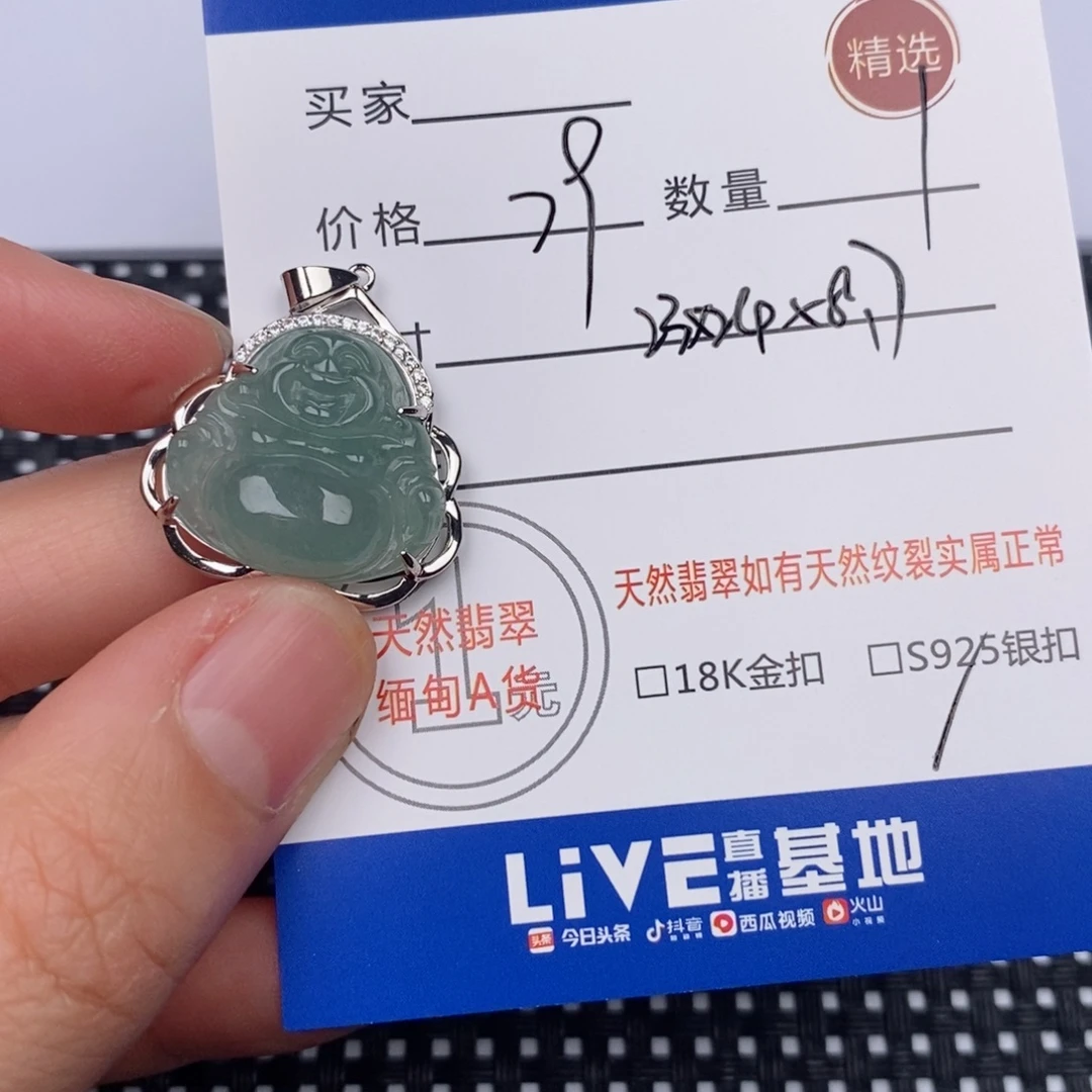 翡翠银S925镶嵌颈饰