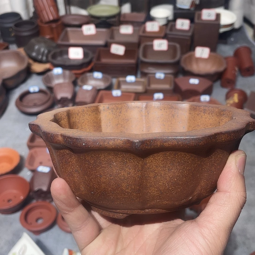 紫砂紫砂小盆14*5