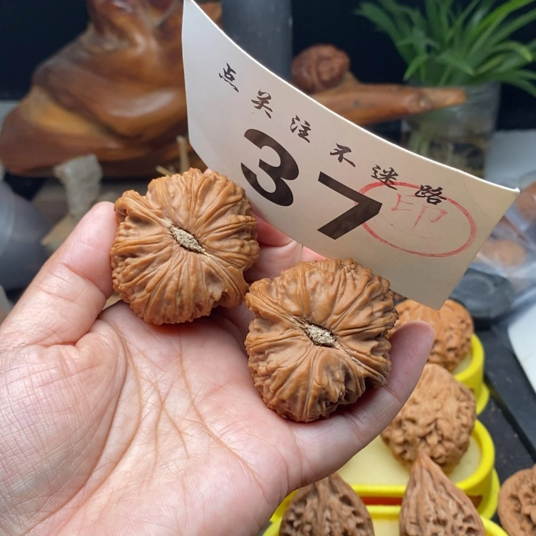 把件文玩核桃45白狮子