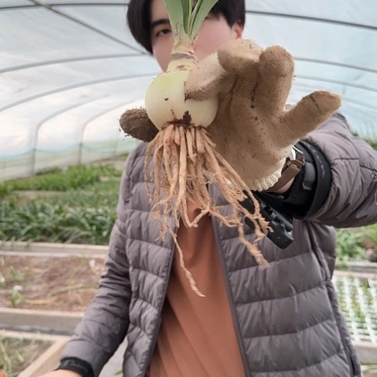 汤姆5.5～6包对版带土发货