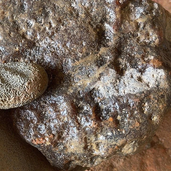 大***0定制玛瑙玛瑙玛瑙手镯