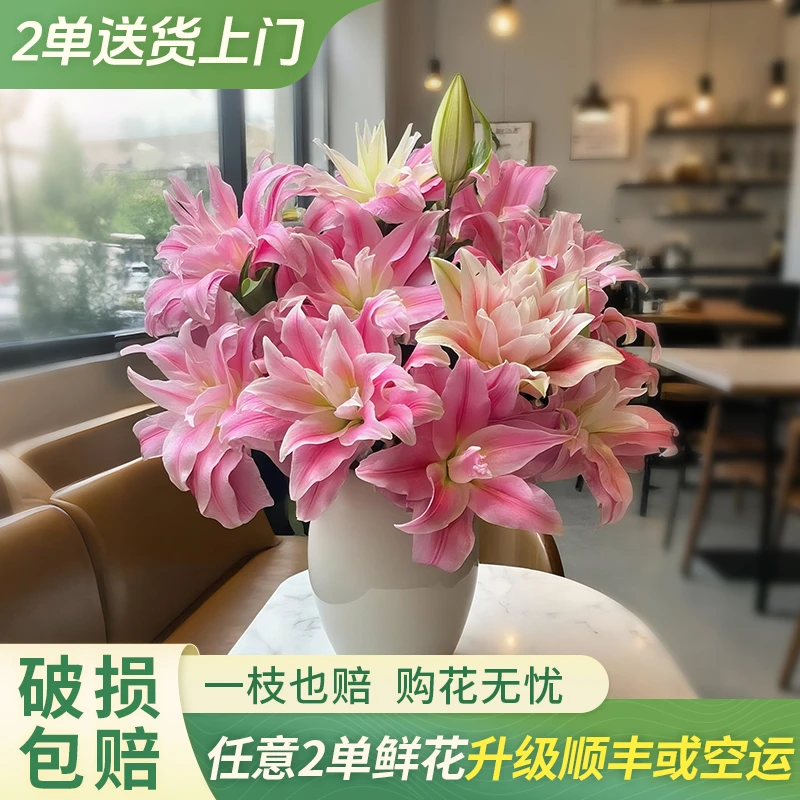 【大聪明卖花】红丝带重瓣百合云南直发鲜花家居水养鲜花花束客厅