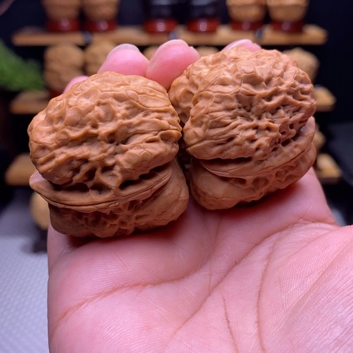 木质类云铁蟒钴朱哈44号