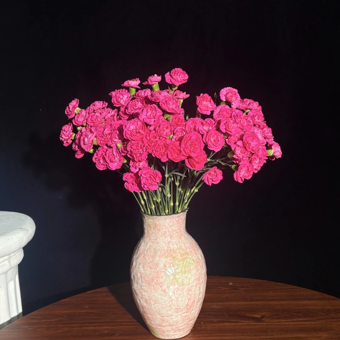 【云舍花卉】【红鸽子】多头康乃馨20支 全场鲜花任意满2单及以上包邮