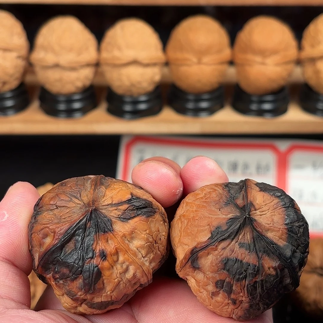 吊坠文玩核桃七彩恐龙蛋