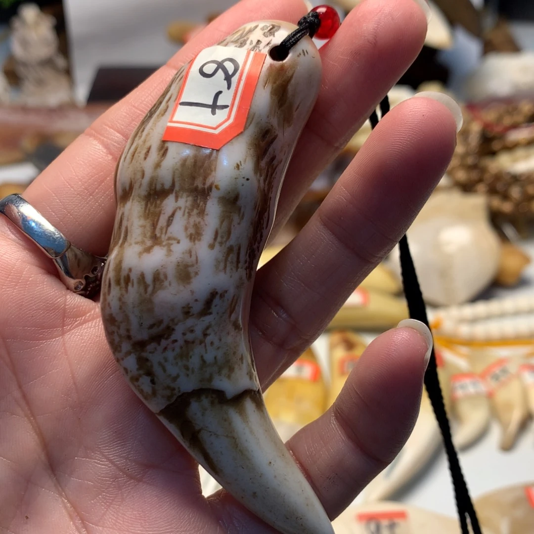 驼骨把件驼骨把件紫色牙牙