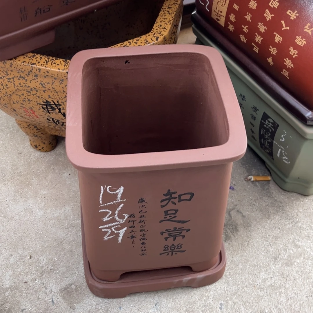 花盆紫砂盆景艺术
