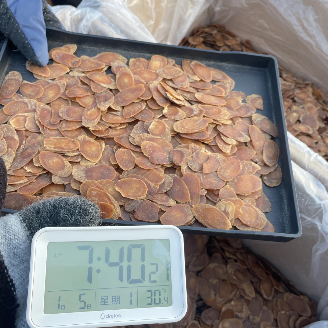 【小谢严选】长白山溯源-红参片 整支切片 1月5日