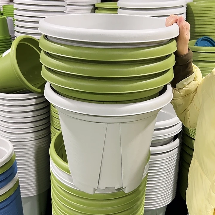 正品青山口40高35灰白色无托5只