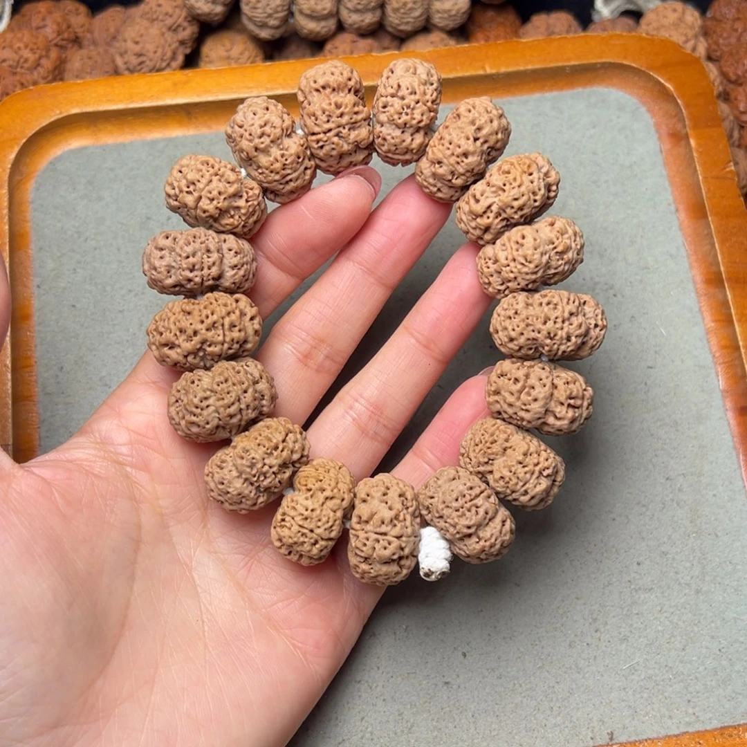 菩提2号金刚菩提爆肉夹板24