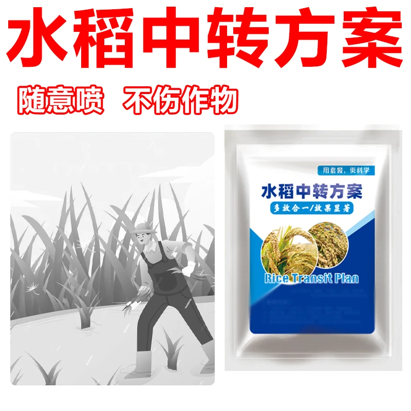 2水稻中转方案不影响作物正常生长水稻使用有机肥料