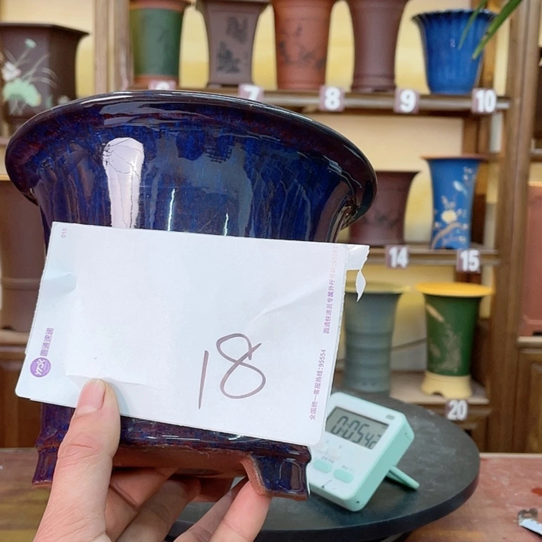 【闪购商品】紫砂花盆行***哥兰花568987543357888654