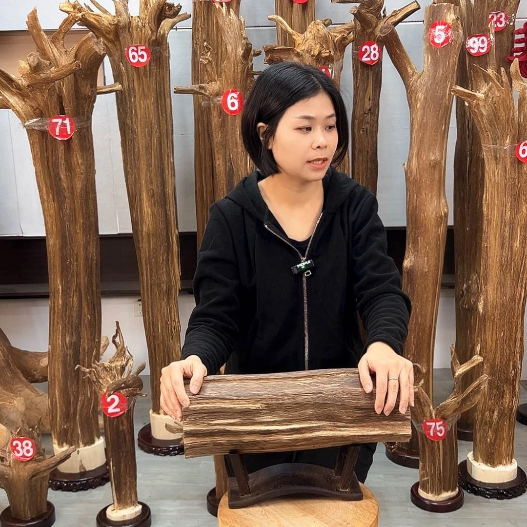 沉香摆件沉香摆件