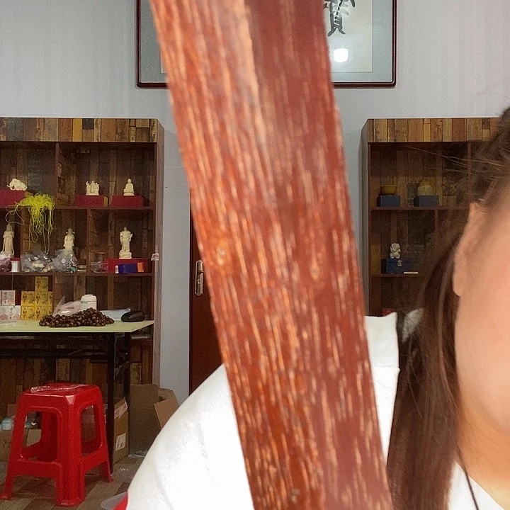 大果紫檀（缅甸花梨）600