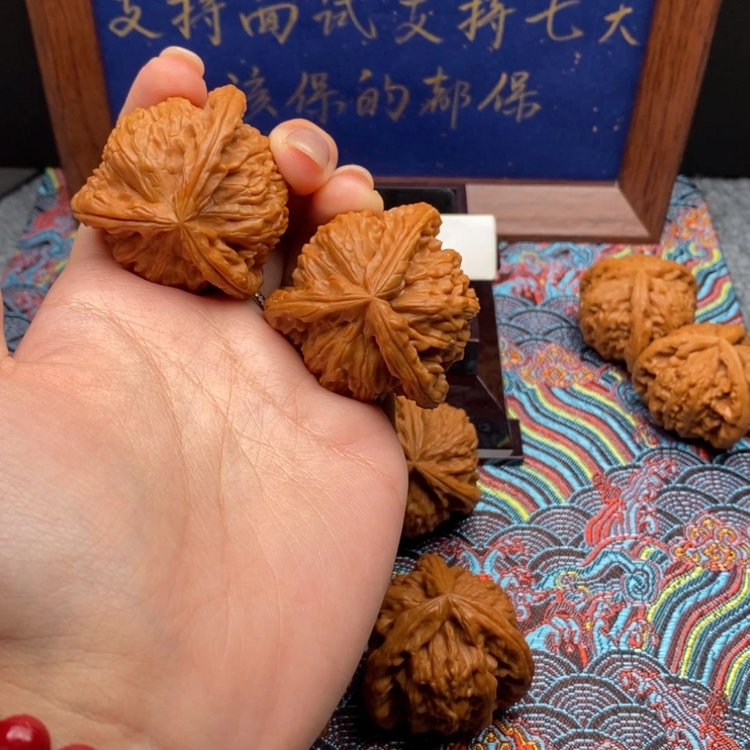 【闪购商品】一**流白狮