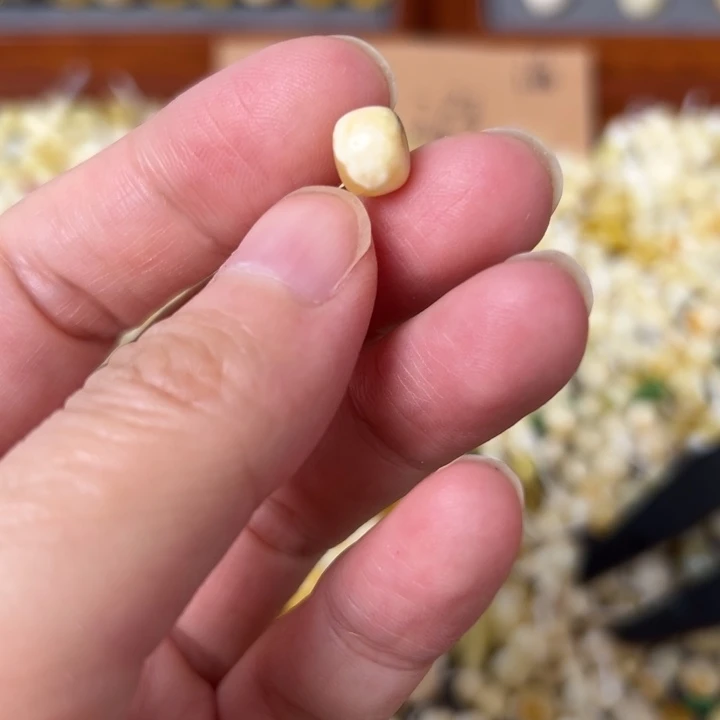 蜜蜡未镶嵌裸石8mm一个