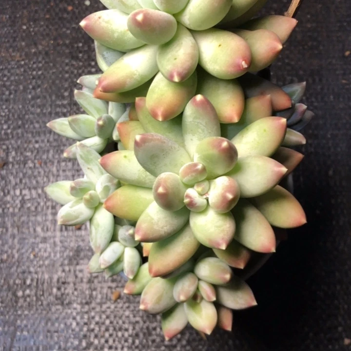 一*鱼76////////////////