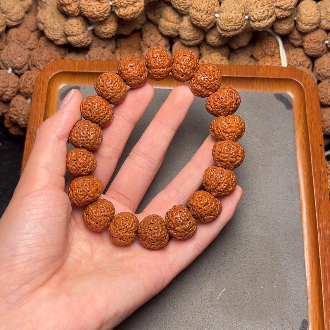 菩提8号尼泊尔大金刚19.5五星蜂王菠萝蜜