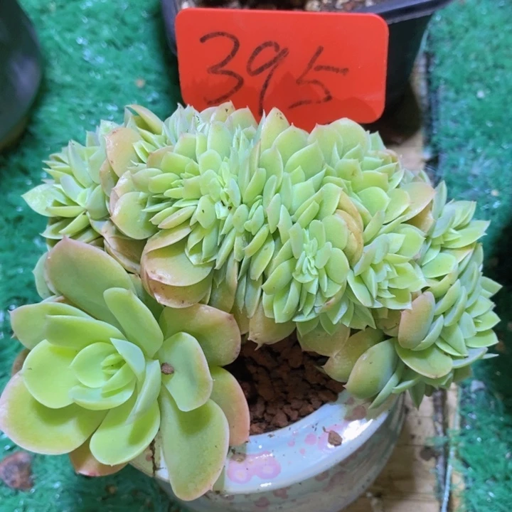 你不去上班就好的