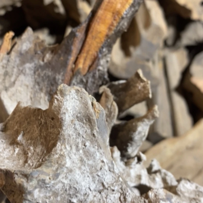【闪购商品】贡木手串飞*私人订制
