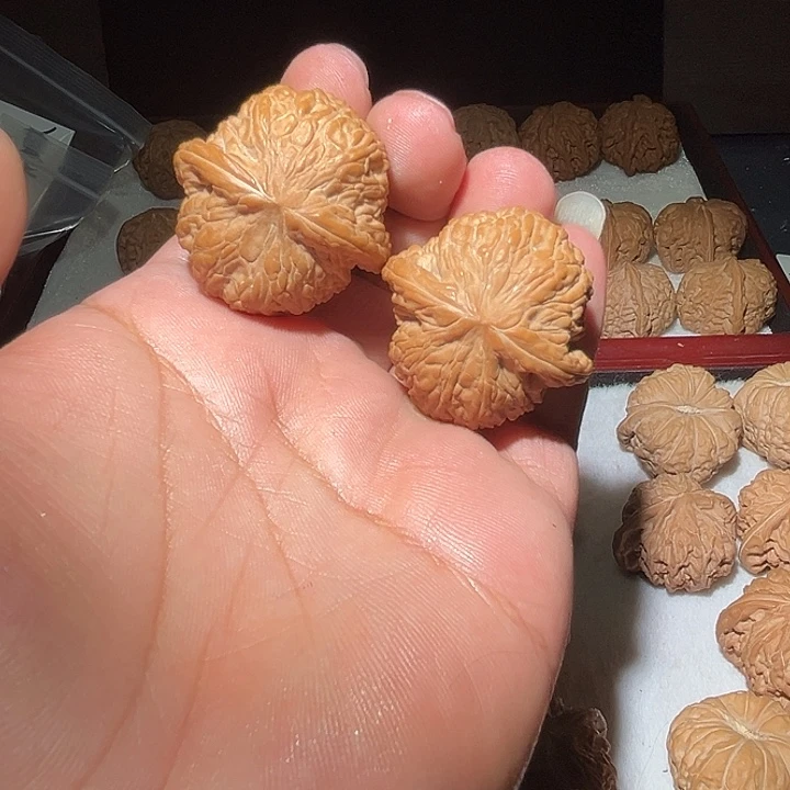 木边肚40软皮泥鳅背。