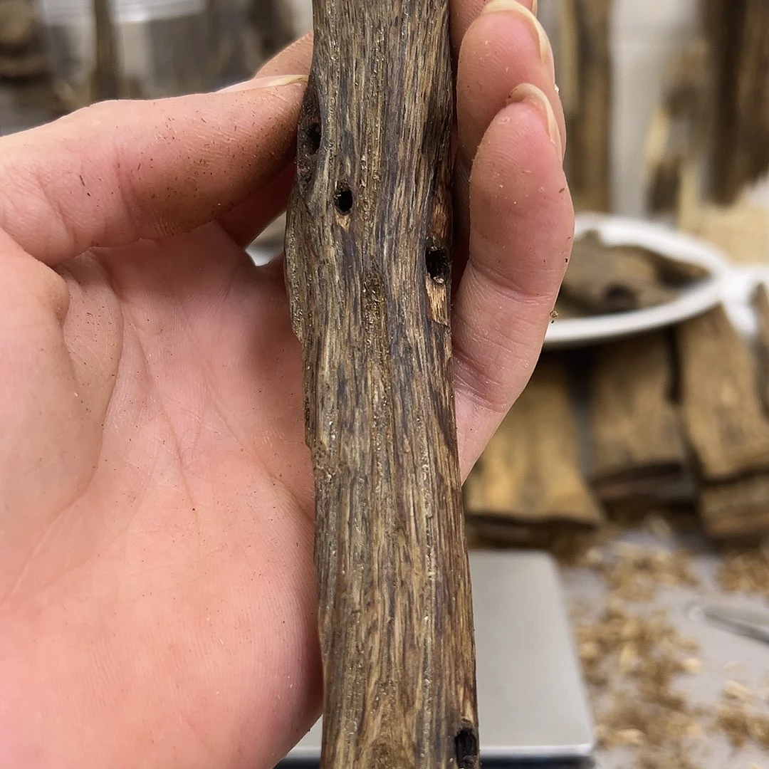 奇楠精勾干料21克➕