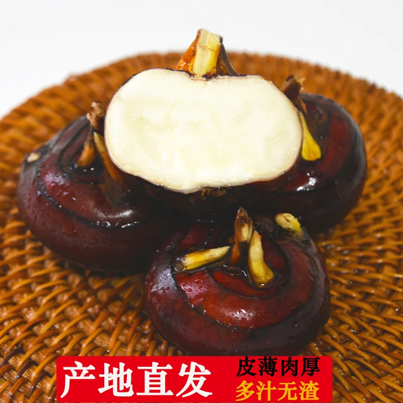 广西贺州水果马蹄新鲜当季地栗原产地直发荸荠包邮