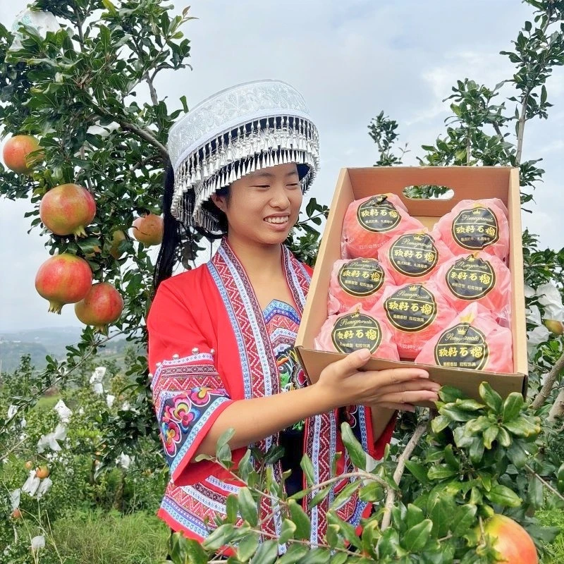 （慧慧专属）四川会理突尼斯软籽石榴新鲜当季水果红心石榴清甜多汁