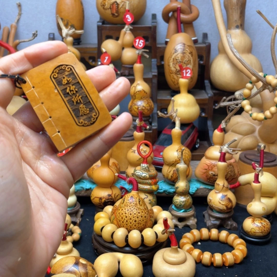 小***･大自然的秘密第十一节的故事