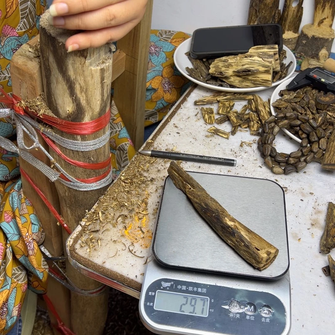 线香奇楠虫漏香29克
